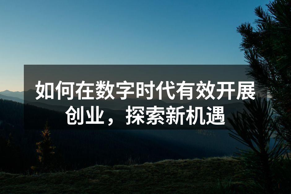 如何在数字时代有效开展创业，探索新机遇